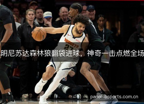 明尼苏达森林狼翻袋进球，神奇一击点燃全场